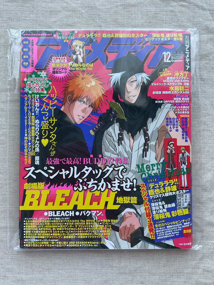 2010 Aralık Animedia Bleach Özel Sayısı