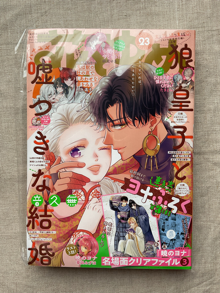 Hana to Yume Dergisi Kasım 2025 23. Sayı