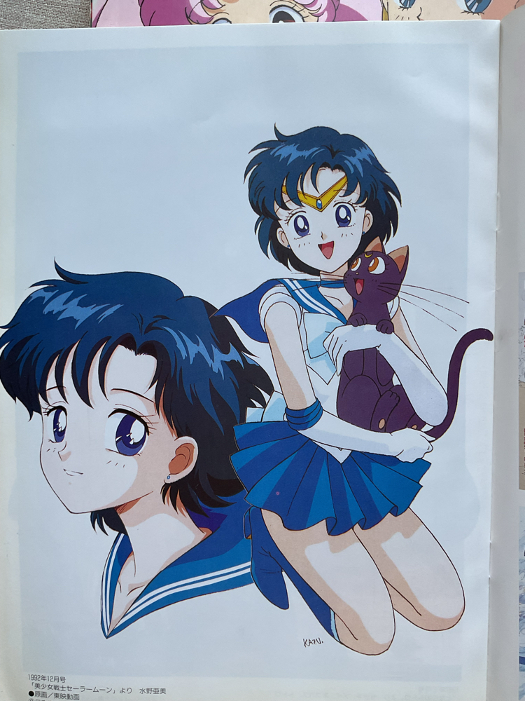 1993 Animage Sailor Moon Kapaklı Özel Sayı