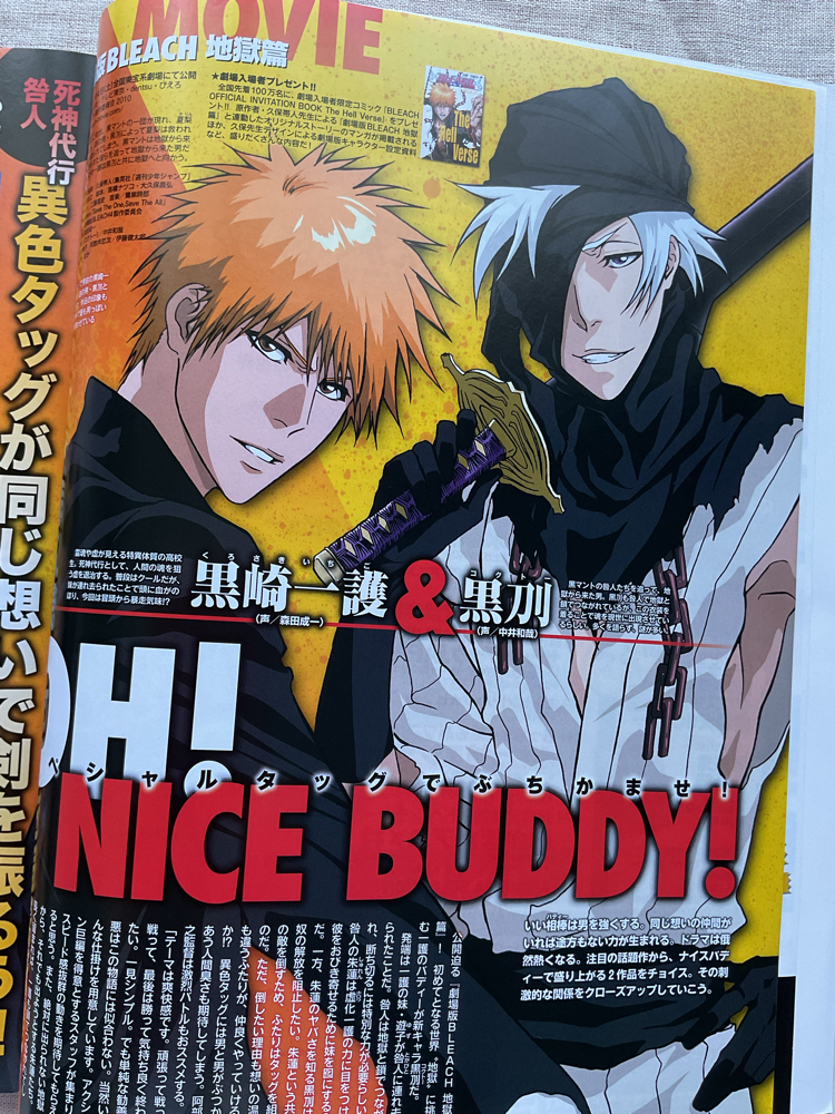 2010 Aralık Animedia Bleach Özel Sayısı