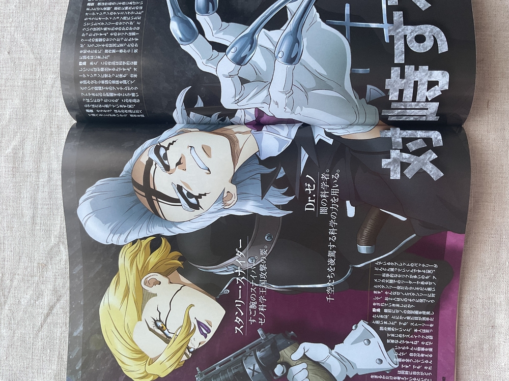 Newtype Versailles no Bara Özel Sayısı