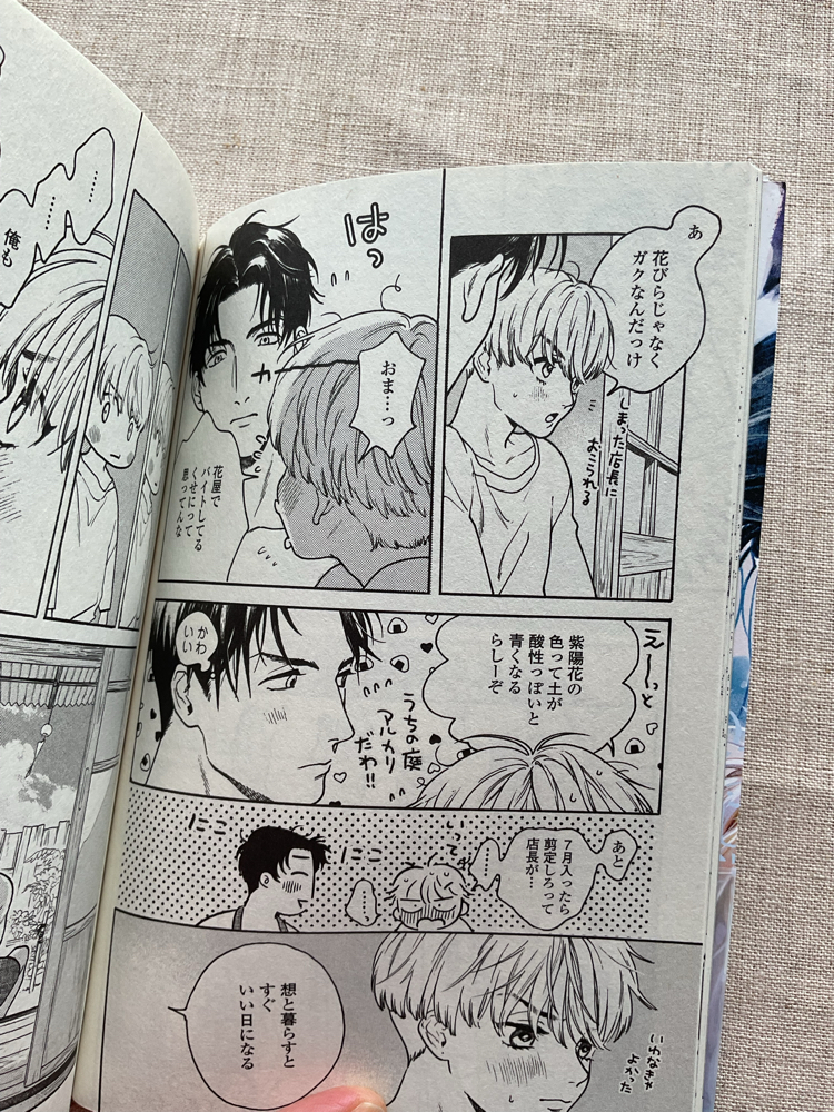 Tsumasaki no Ajisai 1. Cilt BL Manga 