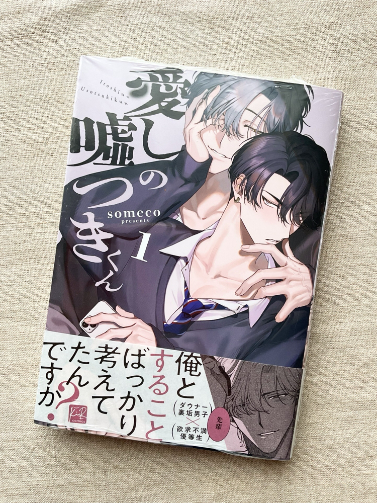 Itoshi no Usotsuki-kun 1. Cilt