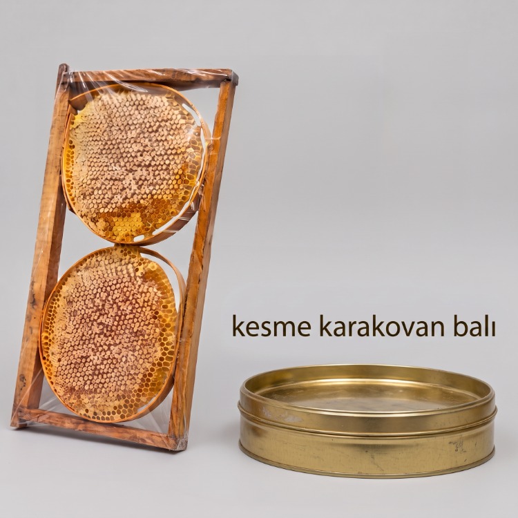 Çerçeve Kesme Karakovan Petek Balı