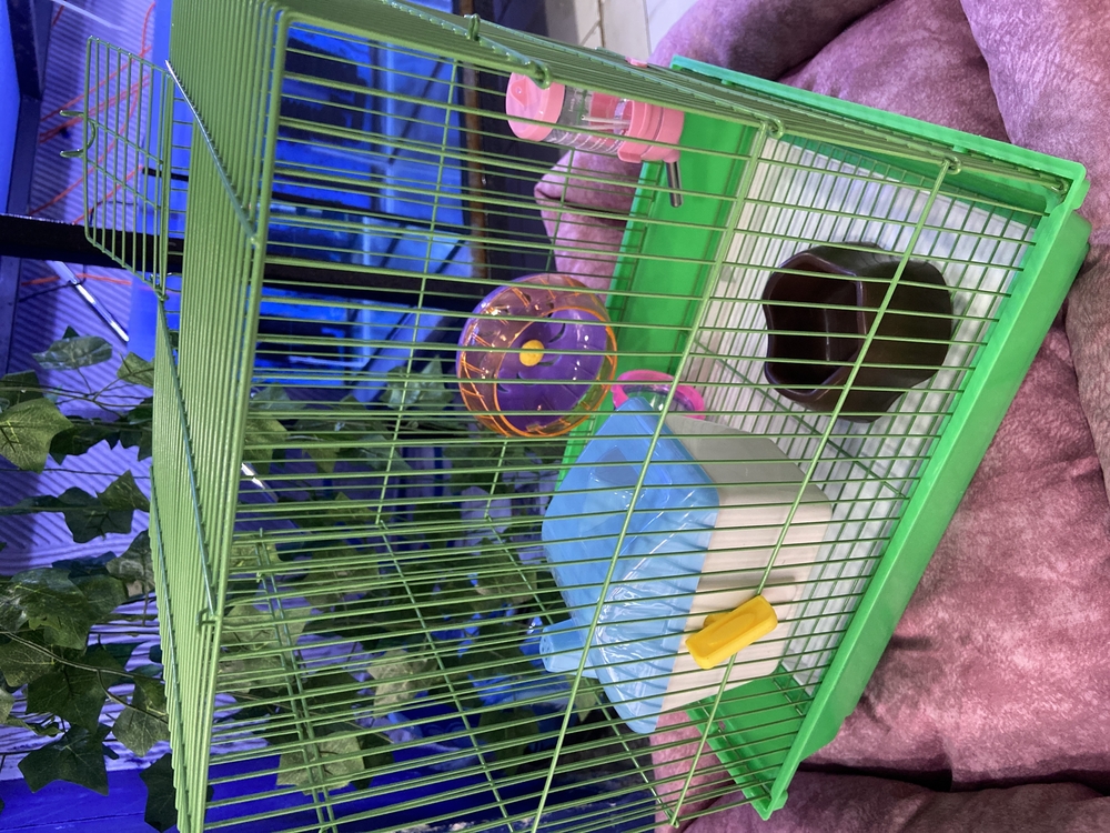 Lüx Hamster Kafesi Büyük Boy