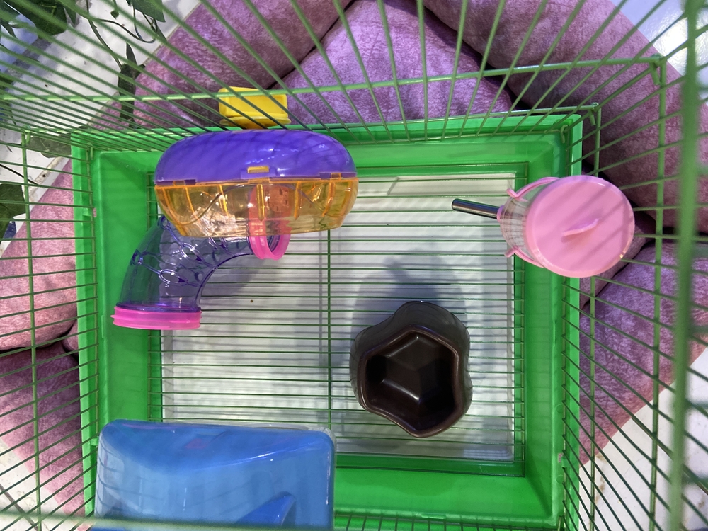 Lüx Hamster Kafesi Büyük Boy