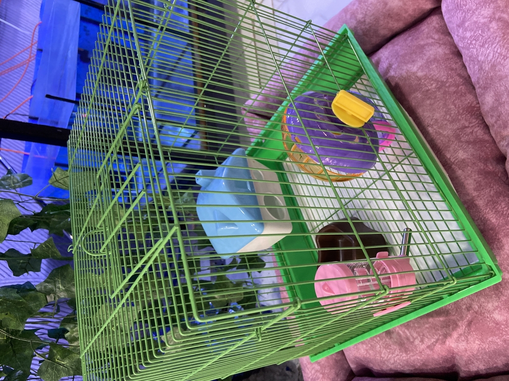 Lüx Hamster Kafesi Büyük Boy