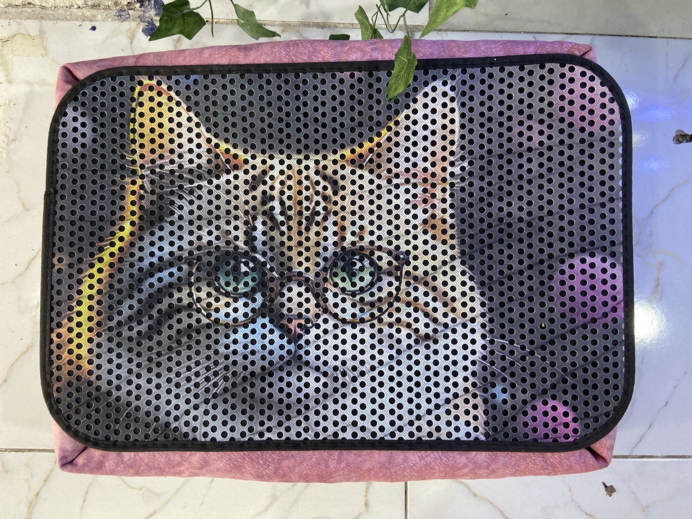 3D desenli kedi paspası