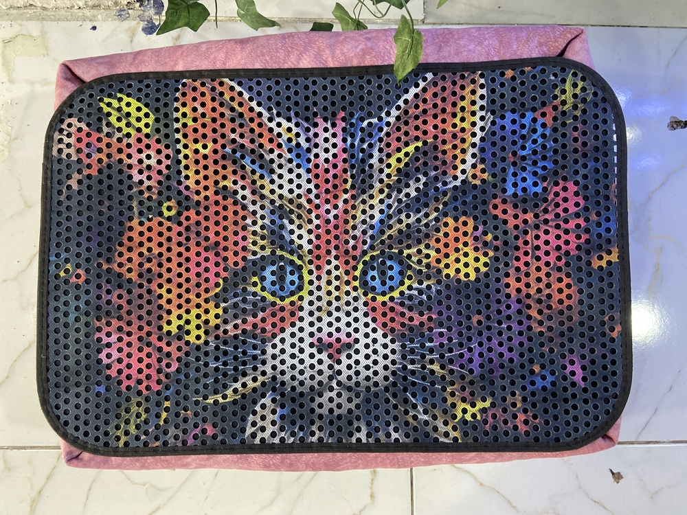 3D desenli kedi paspası