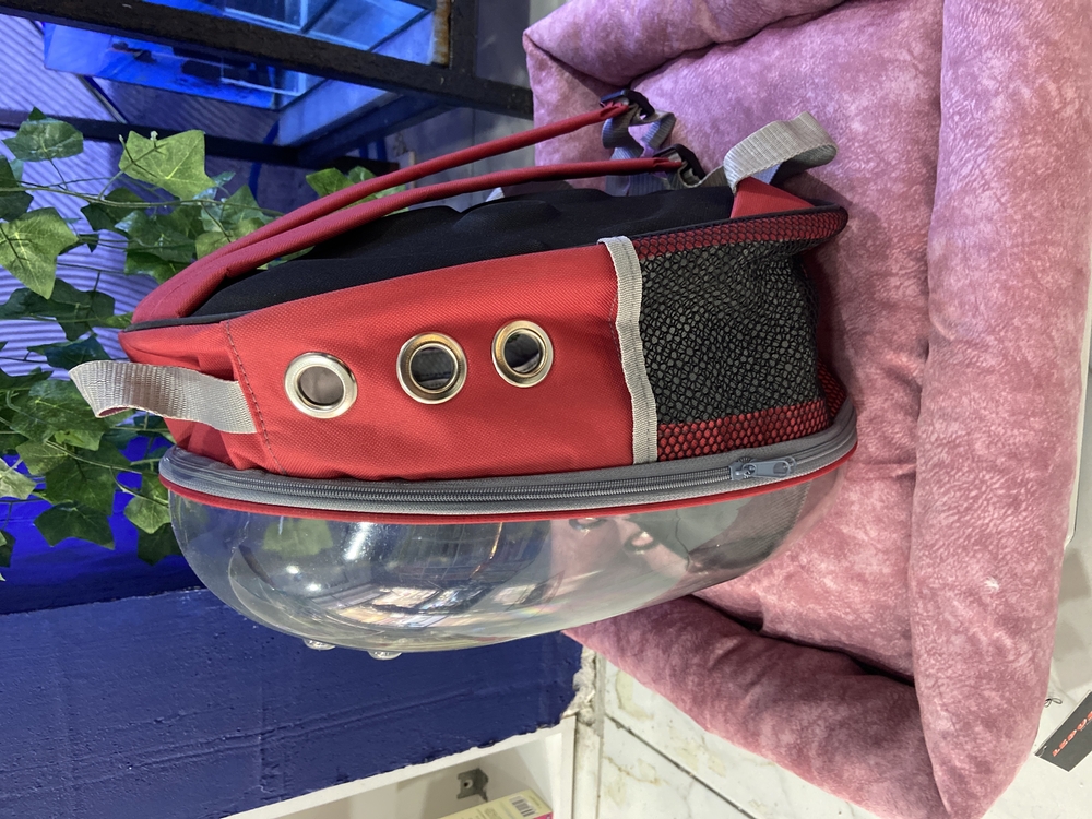 Astronot Model Kedi Taşıma Çantası