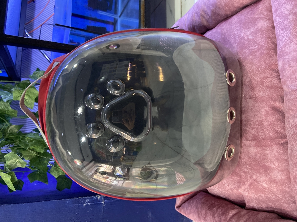 Astronot Model Kedi Taşıma Çantası