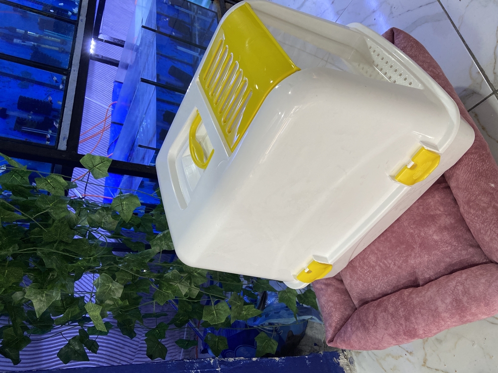 Kapalı Kedi Tuvaleti