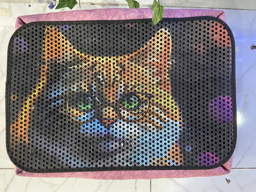 3D desenli kedi paspası