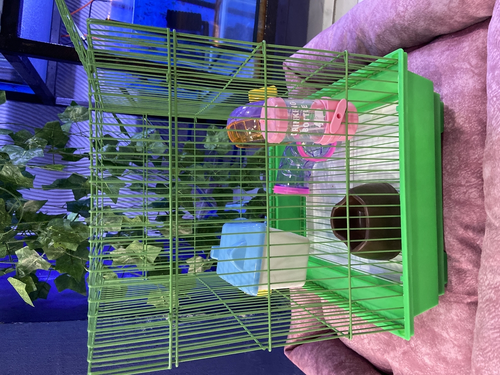 Lüx Hamster Kafesi Büyük Boy