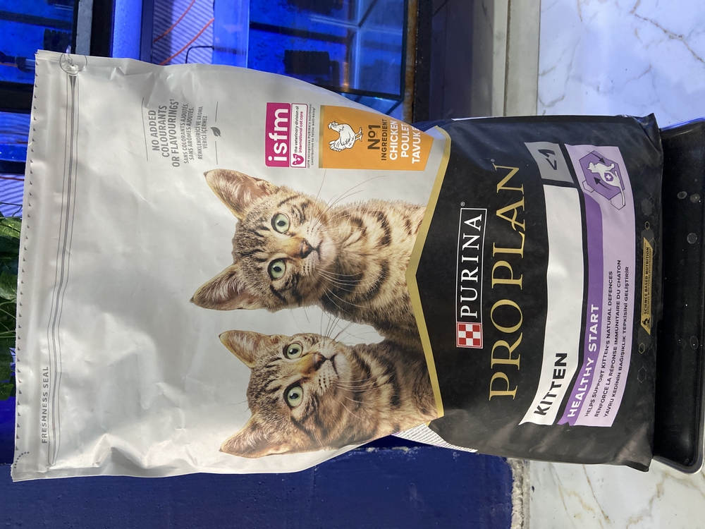 Proplan kitten tavuklu yavru kedi maması