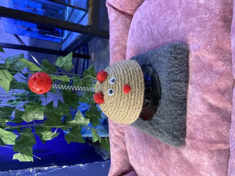 Standlı kedi oyuncağı