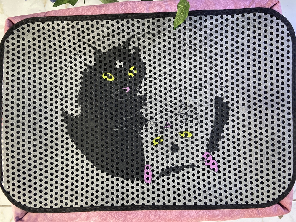 3D desenli kedi paspası