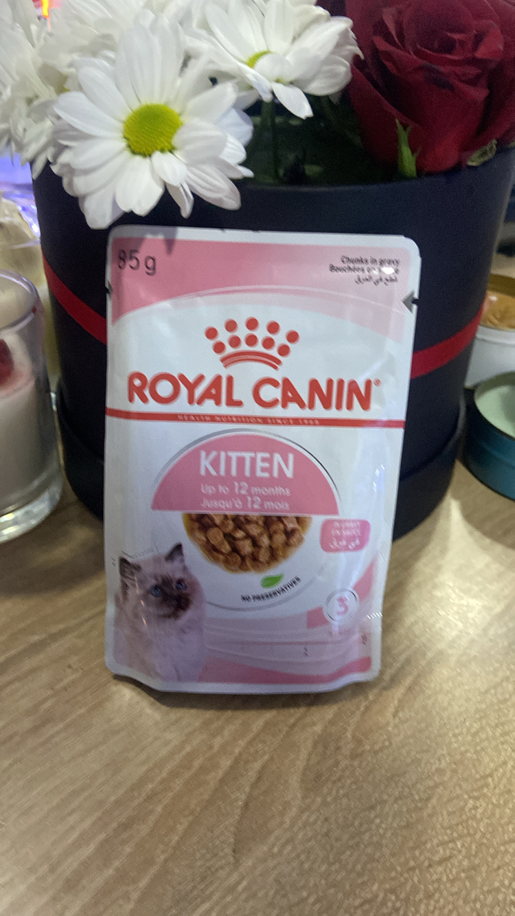 Yavru kedi yaş mama