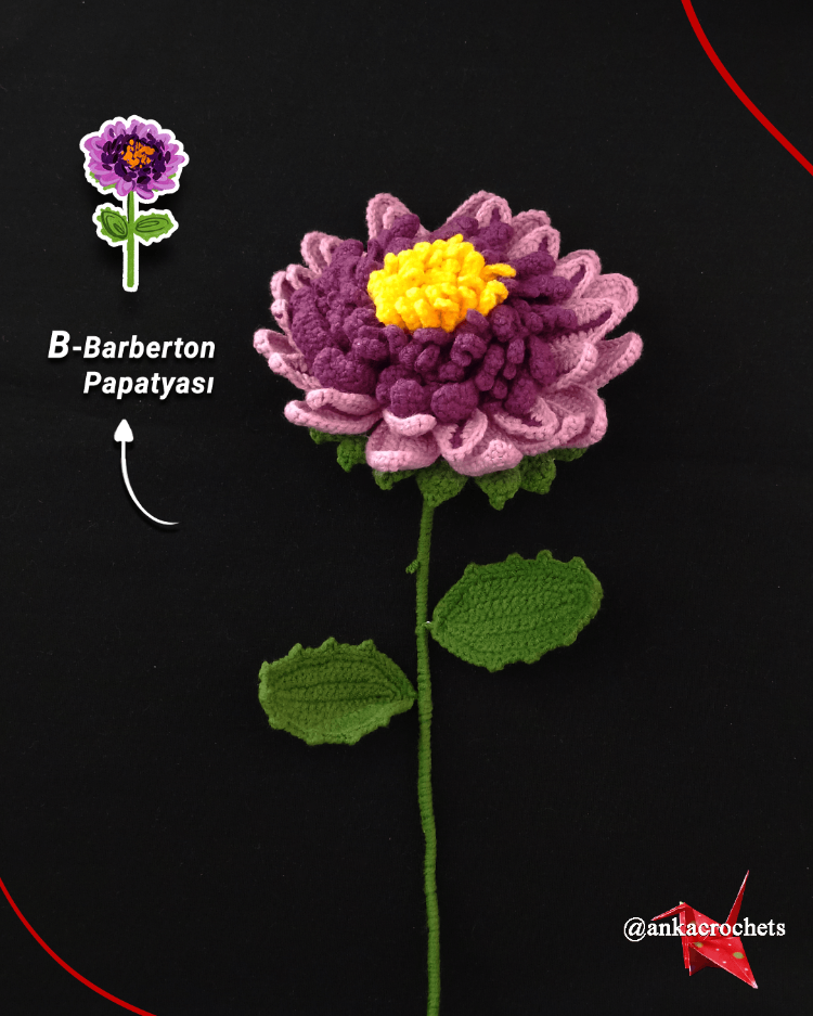 B Harfi (Barberton Papatyası) - İsme Özel Çiçek Alfabesi Buketi
