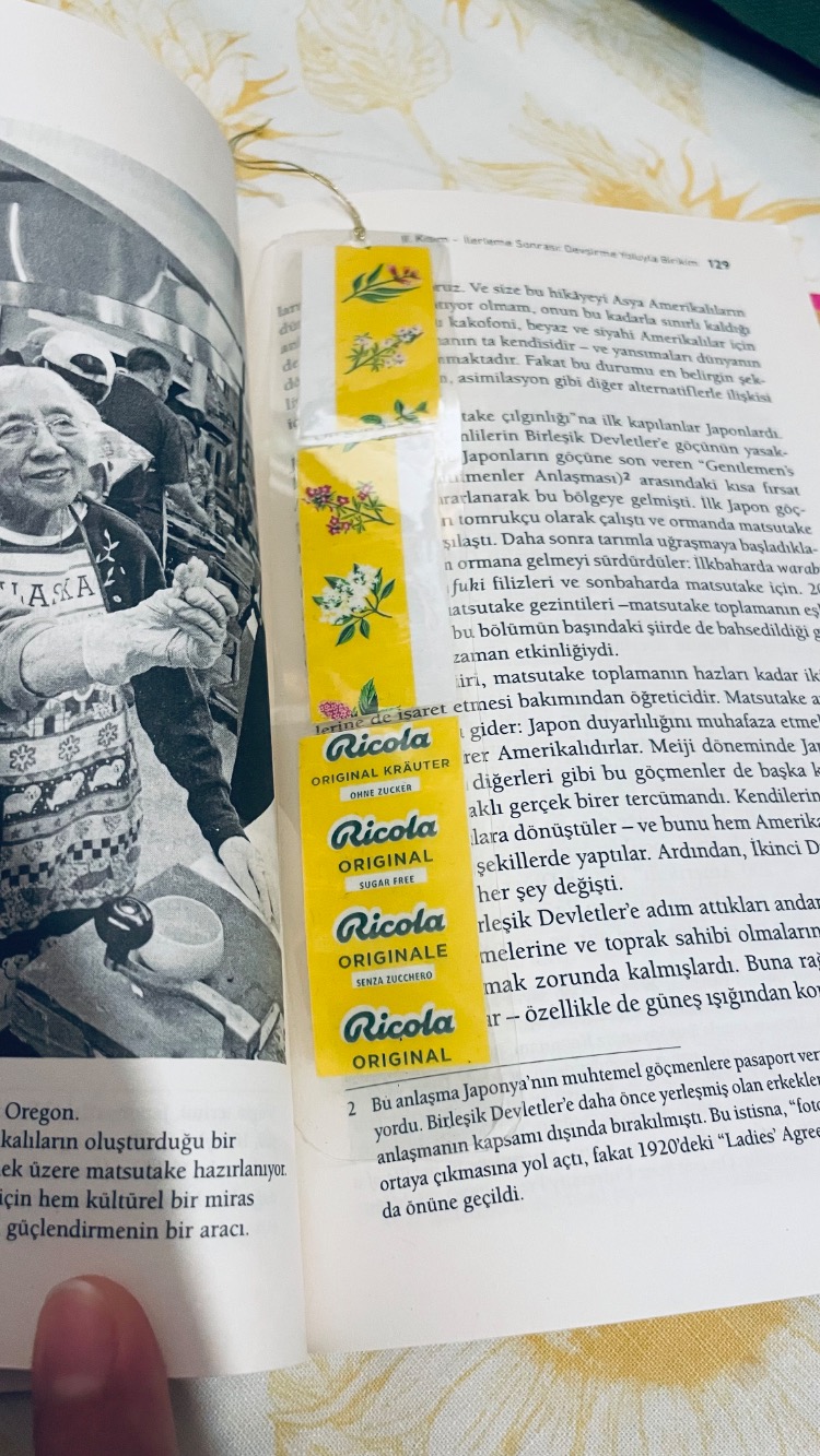 Ricola Kitap Ayracı 