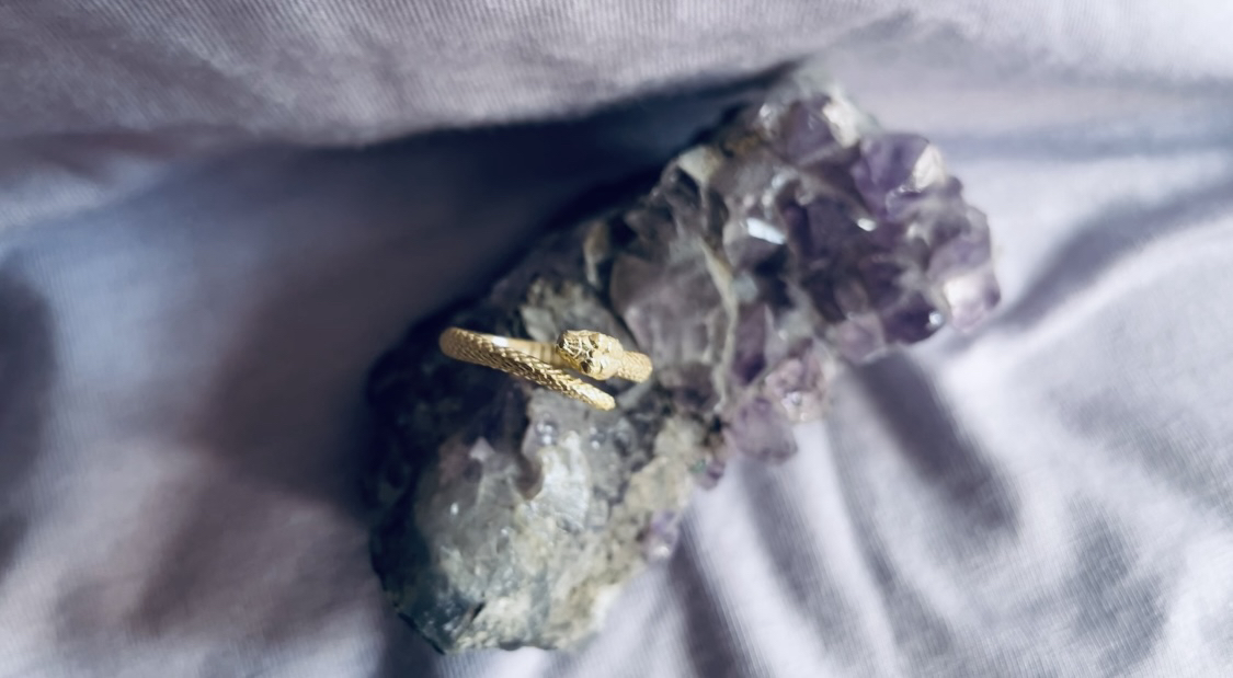The Ouroboros Ring
