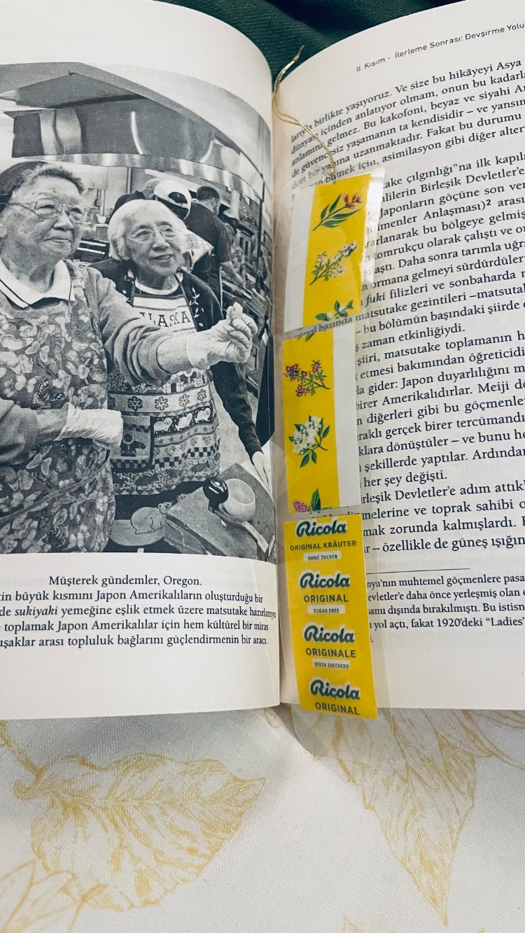 Ricola Kitap Ayracı 