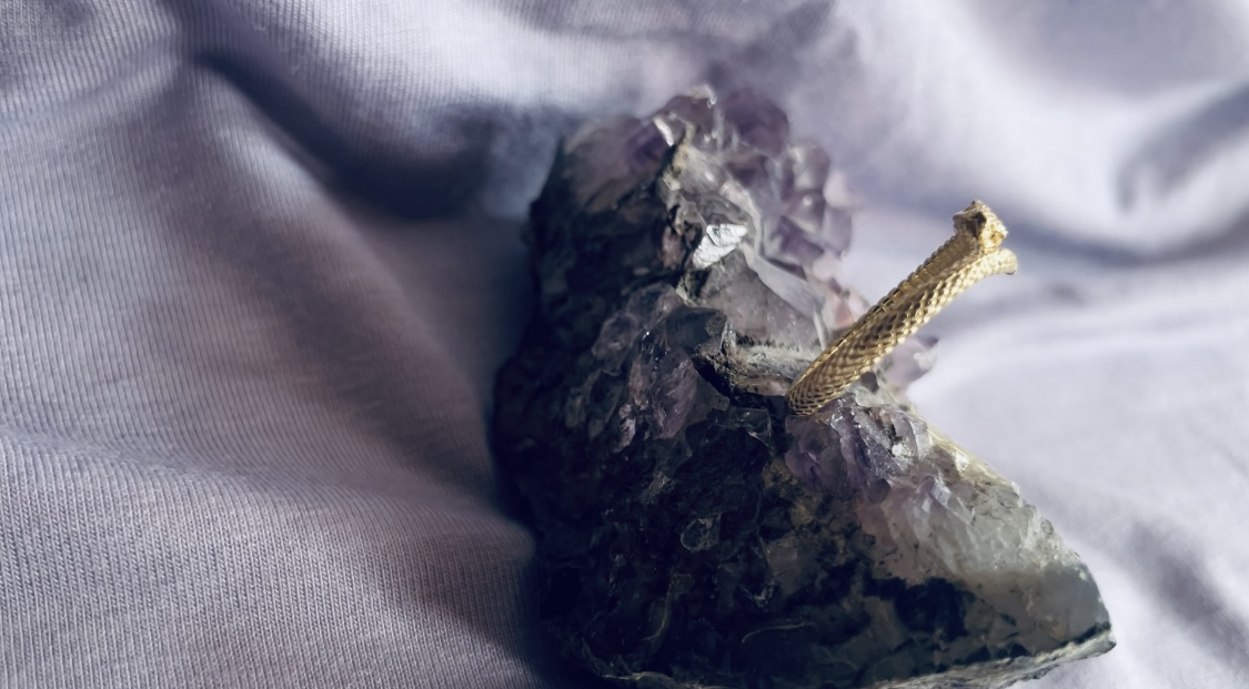 The Ouroboros Ring