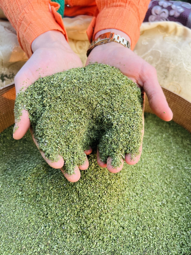 500 GR YENİ SEZON KURU NANE Ev yapımı ince çöpsüz nane baharatı