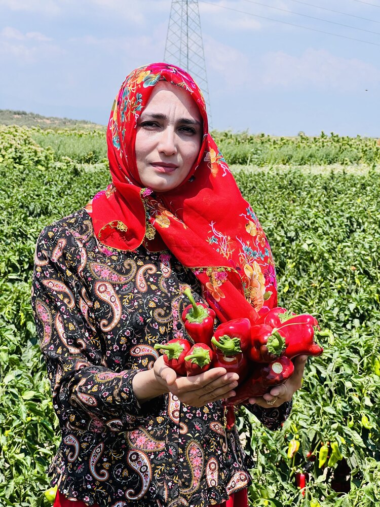 YENİ SEZON TATLI BİBER SALÇASI 1.KG 