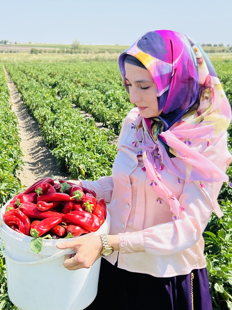 YENİ SEZON ACI BİBER SALÇASI 1 KG 