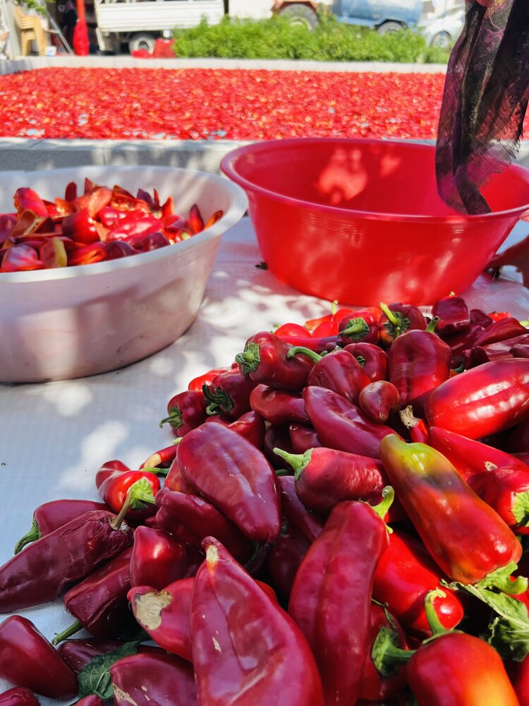 YENİ SEZON ACI BİBER SALÇASI 1 KG 