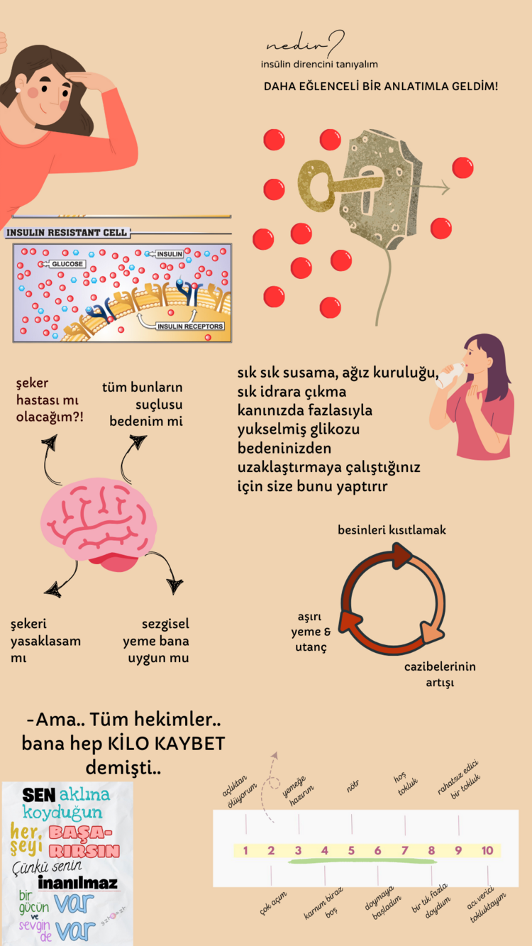 İnsülin Direncinde Nazik Beslenmesi