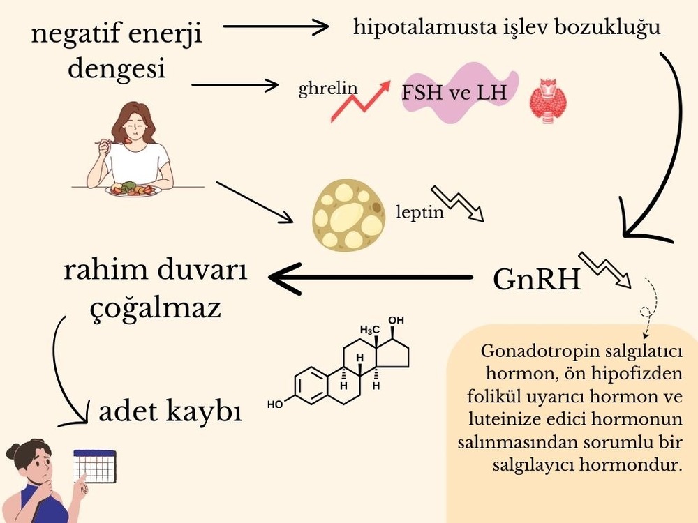 ADETİNİ GERİ KAZAN EĞİTİMİ