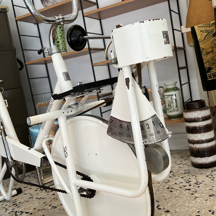 Beldesan Vintage Mekanik Kondisyon Bisikleti 