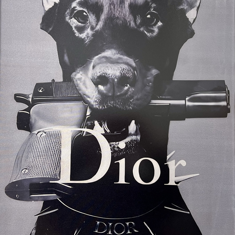Christian Dior Kumaş Baskı Tablo