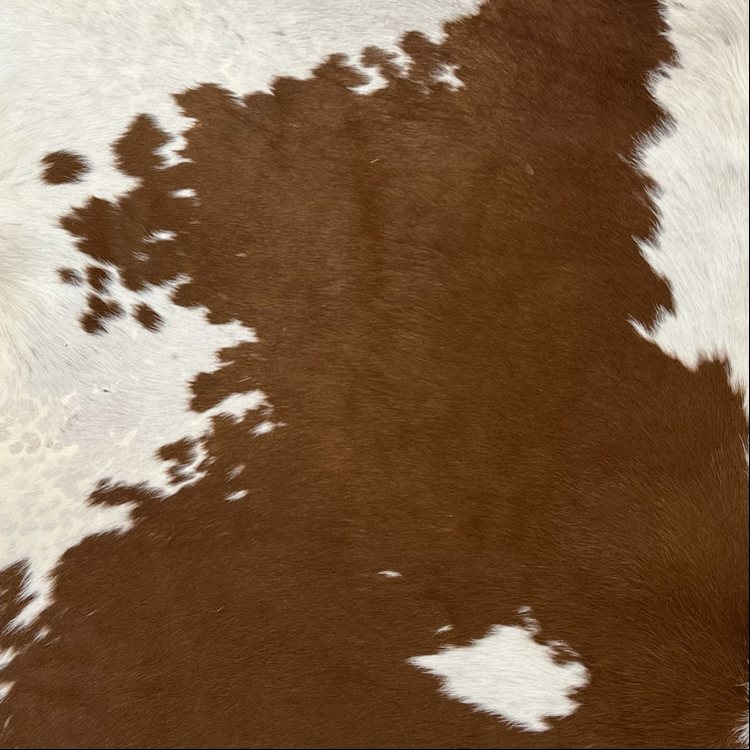Vintage Cowhide Rug