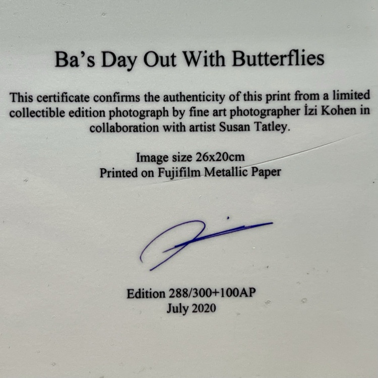 ''Ba’s Day Out With Butterflies'' 