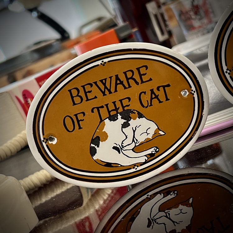 Garnier Co. 'Beware of the Cat' Emaye Tabela