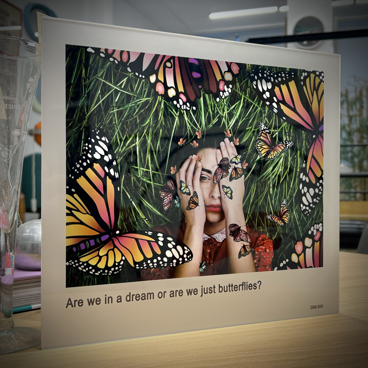 ''Ba’s Day Out With Butterflies'' 