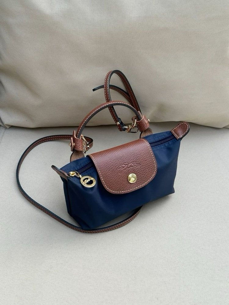 Mini Longchamp