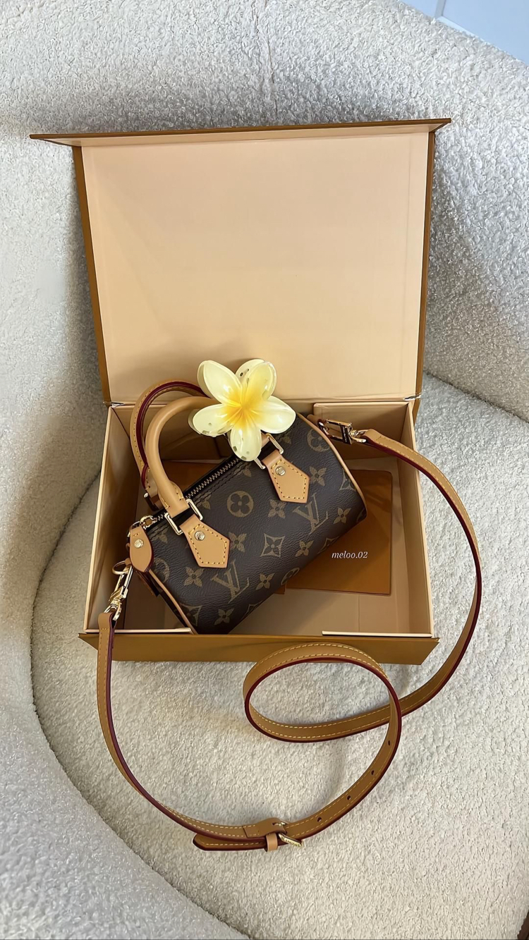 Louis Vuitton Mini Bag
