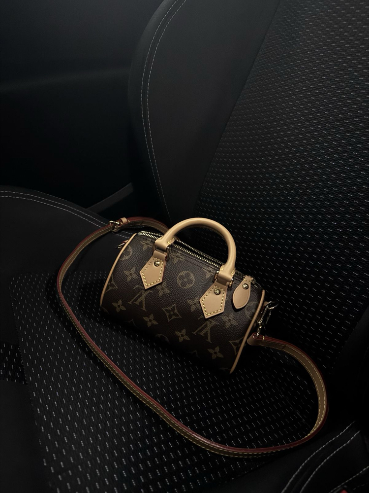 Louis Vuitton Mini Bag
