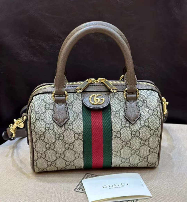 Gucci Bag Mini