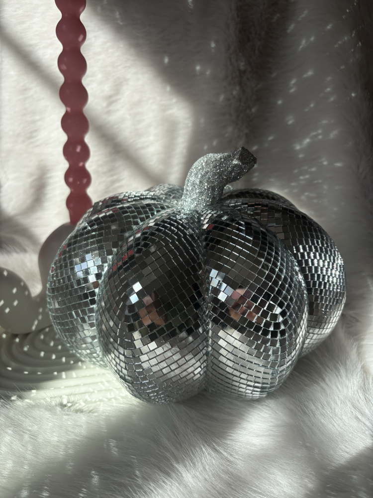 Disko Balkabağı-25 cm