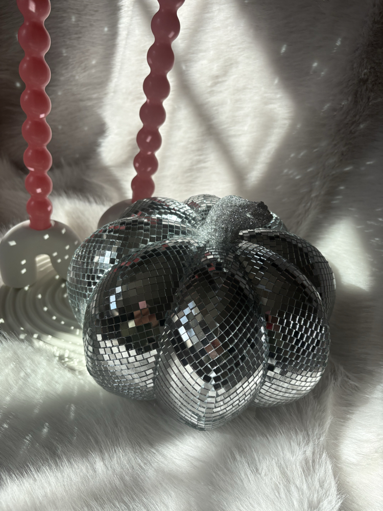 Disko Balkabağı-25 cm