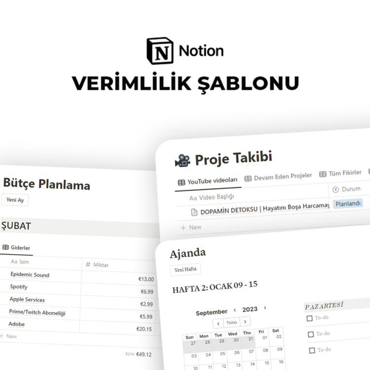 Notion Verimlilik Şablonu