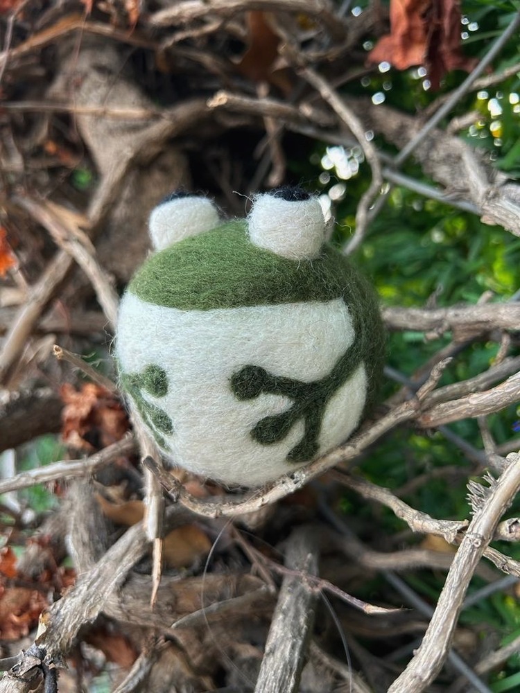 Kurbiş