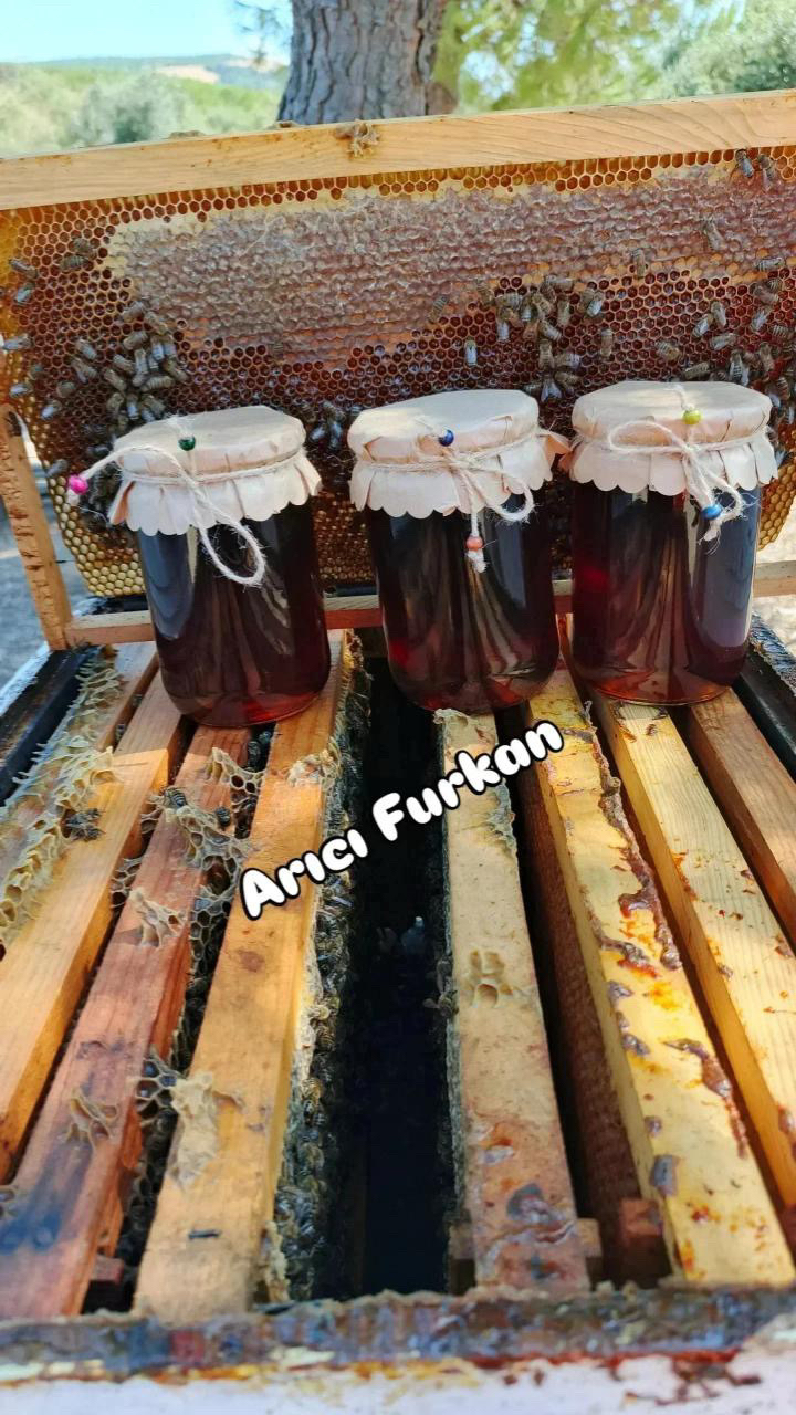 ÇAM BALI (4 KAVANOZ)