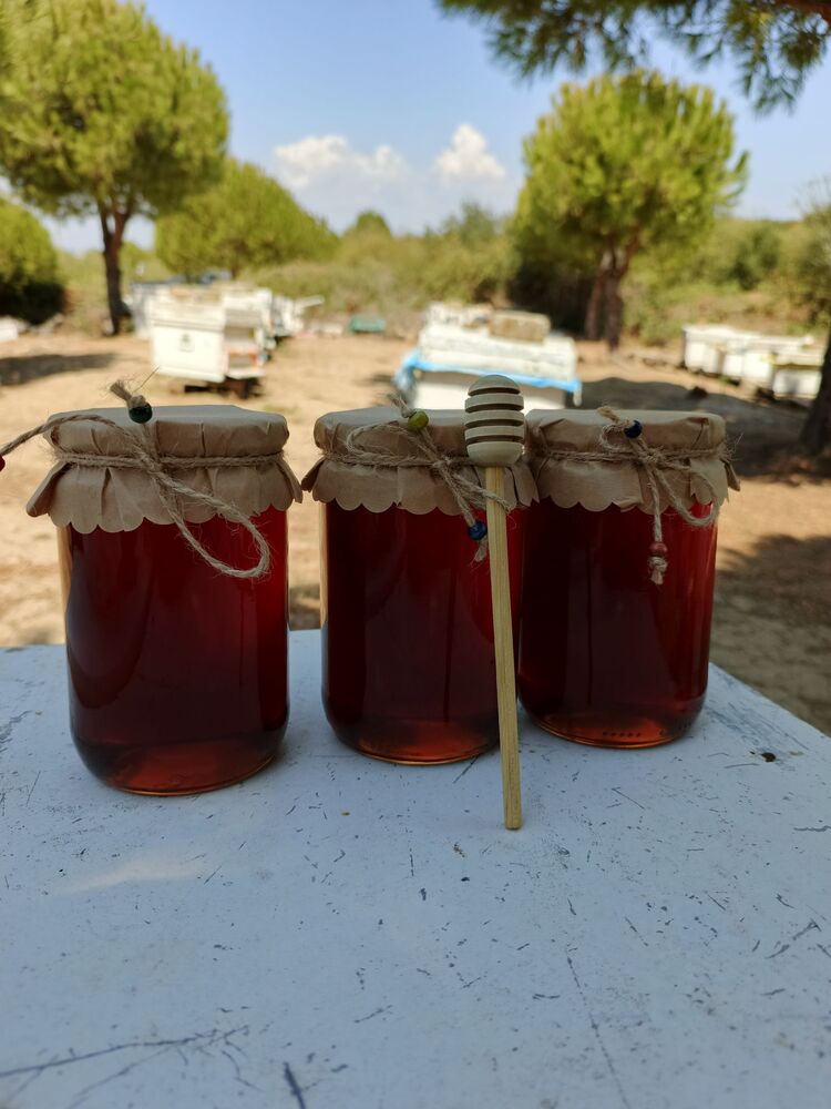 Bahar Balı