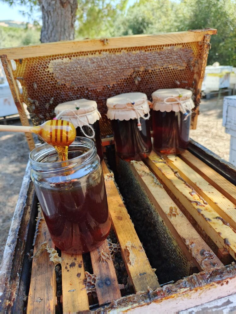 Bahar Balı